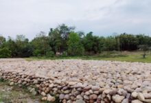 NFR steps up monsoon preparedness to ensure safe train services​