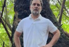 ‘This is not development but destruction’: Rahul Gandhi after visiting Great Nicobar Island