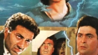 Meenakshi Seshadri celebrates 33 years of ‘Damini’