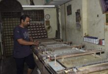 Mango festival, Zari industry to feature at Vibrant Gujarat Regional Conference in Surat