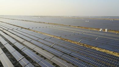 India emerges as world’s 2nd-largest solar market, green energy momentum accelerates: Experts