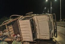 Madhya Pradesh: Eight killed as overcrowded vehicle overturns in Dhar