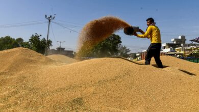 MP govt extends wheat procurement window to May 23