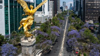 Joint India-US venture NISAR shows Mexico City sinking at alarming pace