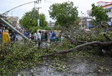 Five dead as sudden weather shift batters Bihar; fresh alerts issued