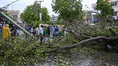 Five dead as sudden weather shift batters Bihar; fresh alerts issued