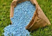 India has ample stocks of fertilisers: Govt