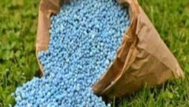 India has ample stocks of fertilisers: Govt