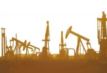 Govt aims to boost domestic oil production to 29 million tonnes a year by 2030