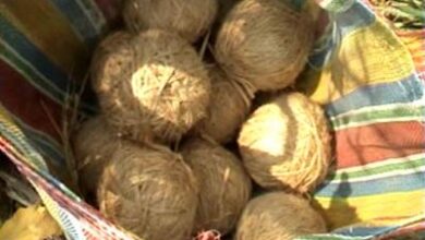 From poll violence to terror supply chains: West Bengal’s crude bomb industry under NIA scanner