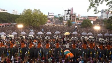 Ex-DGP questions fireworks culture after Thrissur tragedy, calls for urgent rethink