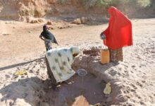 62,000 displaced in Somalia due to drought: IOM