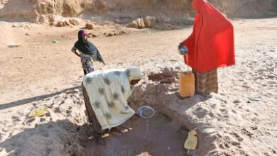 62,000 displaced in Somalia due to drought: IOM