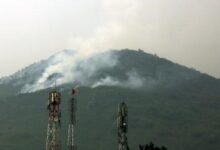 WWF-Pakistan flags ‘serious risks’ from developmental projects in Islamabad’s Margalla Hills