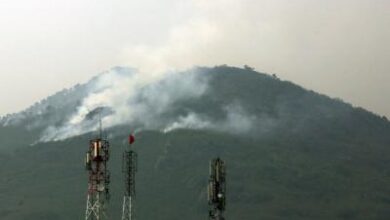 WWF-Pakistan flags ‘serious risks’ from developmental projects in Islamabad’s Margalla Hills