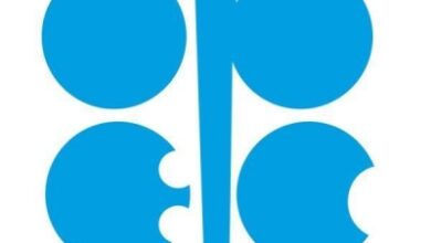 UAE left OPEC due to low size of oil quota: Ex-envoy Navdeep Suri