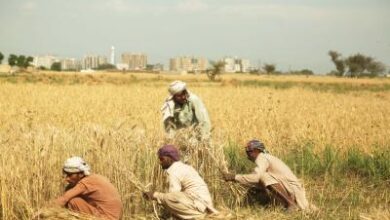Pakistan: Protests held to demand fixing of minimum support price of wheat, abolishing corporate farming