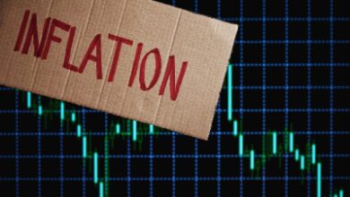 RBI’s rate pause balances inflation control, growth support: Analysts