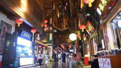 It’s a mistake to accept Chinese statistics at face value, figures can be misleading: Report