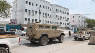 Somali forces kill nine al-Shabaab militants