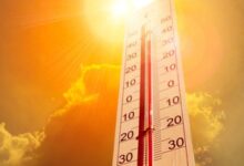 Man dies of sunstroke in Kerala, heat wave alert issued