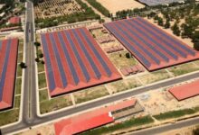 India can play key role in helping Africa’s green energy push