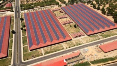 India can play key role in helping Africa’s green energy push