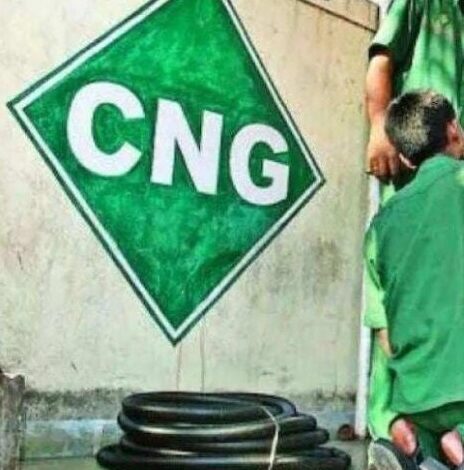 ‘Make attractive fuel option’: Govt panel favours scrapping excise duty on CNG
