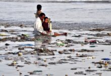 Pakistan: Industrial chemicals, livestock waste pushing Karachi’s coastal system towards crisis