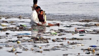 Pakistan: Industrial chemicals, livestock waste pushing Karachi’s coastal system towards crisis
