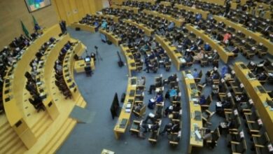 African Union condemns assassination of Mali’s defense minister