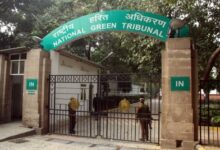 NGT issues notice over untreated sewage discharge into Yamuna in UP’s Vrindavan, Kosi​