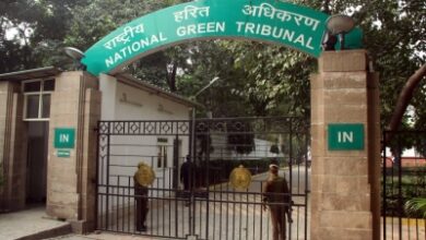 NGT issues notice over untreated sewage discharge into Yamuna in UP’s Vrindavan, Kosi​