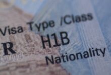 Texas probes firms in H-1B fraud case​