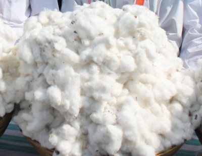 Cabinet okays ‘Mission for Cotton Productivity’ with Rs 5,659 crore outlay