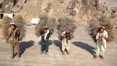Nearly 28 million people unable to meet basic needs in Afghanistan: United Nations