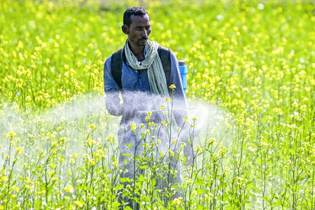 Diversified incomes, irrigation to shield India’s agri sector from El Niño: Report