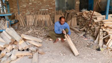 7.92 crore unincorporated establishments with 12.81 crore workers driving economic growth: Govt