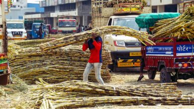 Centre withdrawing draft sugarcane control order for fresh review a welcome step: Minister Centre withdrawing draft sugarcane control order for fresh review a welcome step: Minister