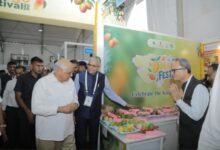 Foreign delegates highlight semiconductor, renewable energy opportunities at VGRC in Surat (Ld)