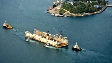 Green safeguards woven into economic, defence objectives of Great Nicobar project: Centre