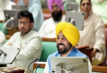 Punjab: AAP wins confidence motion in special Assembly session