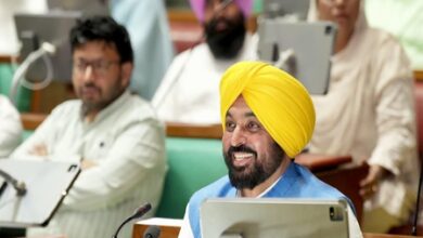Punjab: AAP wins confidence motion in special Assembly session