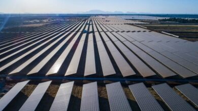 Solar surge powers Tamil Nadu to the top in southern grid performance