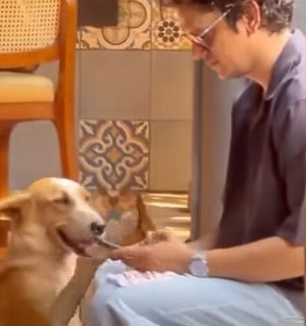 Vijay Varma shares a hilarious take on how the disaster alert caught him off guard