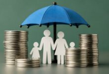 Govt notifies 100 pc FDI in insurance under automatic route