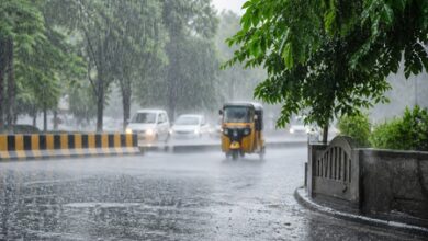 Seven-day rain alert for Tamil Nadu; IMD warns of storms, gusty winds