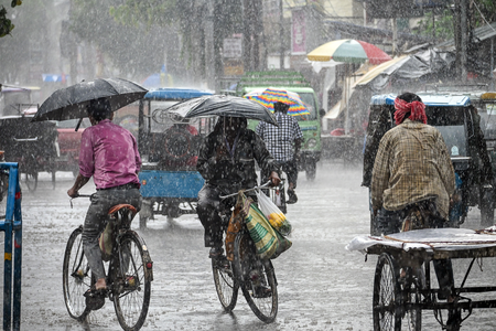 Tripura: Heavy rain hits agriculture; 33,000 farmers affected, Rs 59 crore loss​