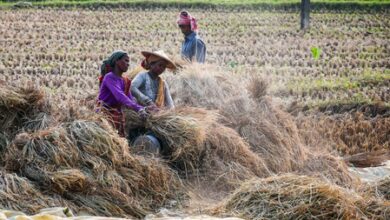 Time for greater workforce formalisation, expansion of social security coverage: SBI report