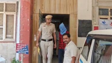 Drug peddler apprehended, ganja recovered: Delhi Police
